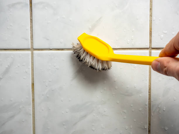 Trusted Cisco, TX Mold Removal Experts