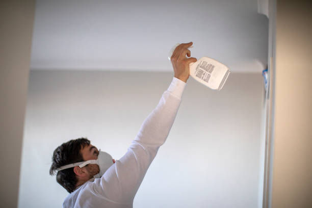 Best Certified Mold Removal  in Cisco, TX