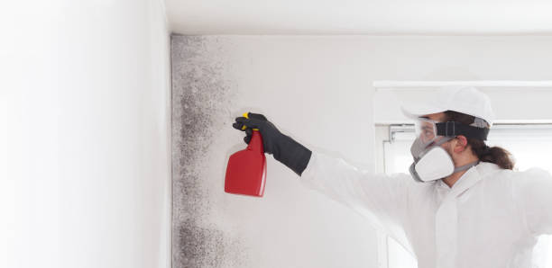 Best Crawl Space Mold Removal  in Cisco, TX