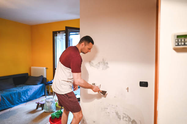 Best Mold Removal Near Me  in Cisco, TX